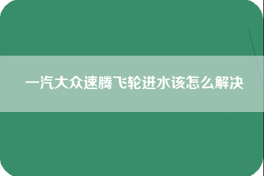 一汽大众速腾飞轮进水该怎么解决