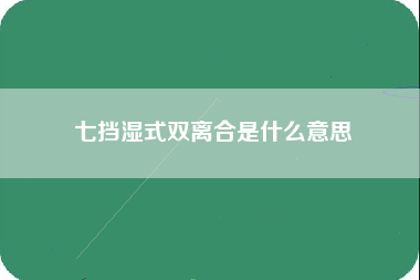 七挡湿式双离合是什么意思