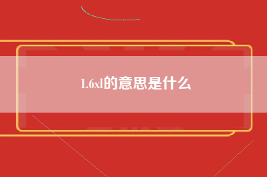 1.6xl的意思是什么