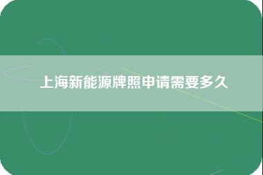 上海新能源牌照申请需要多久