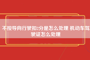 不按导向行驶扣2分是怎么处理 机动车驾驶证怎么处理