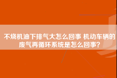 不烧机油下排气大怎么回事 机动车辆的废气再循环系统是怎么回事？