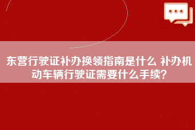 东营行驶证补办换领指南是什么 补办机动车辆行驶证需要什么手续？