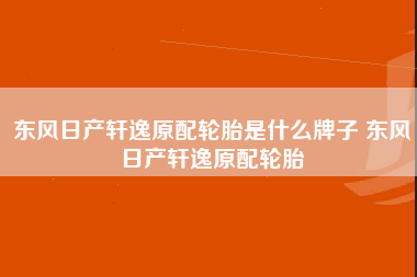 东风日产轩逸原配轮胎是什么牌子 东风日产轩逸原配轮胎