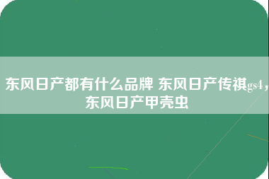 东风日产都有什么品牌 东风日产传祺gs4，东风日产甲壳虫