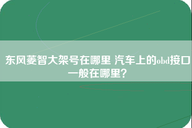 东风菱智大架号在哪里 汽车上的obd接口一般在哪里？