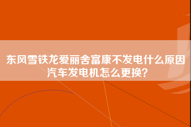 东风雪铁龙爱丽舍富康不发电什么原因 汽车发电机怎么更换？