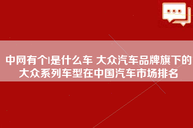 中网有个l是什么车 大众汽车品牌旗下的大众系列车型在中国汽车市场排名