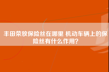 丰田荣放保险丝在哪里 机动车辆上的保险丝有什么作用？