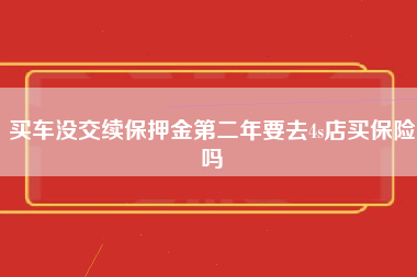 买车没交续保押金第二年要去4s店买保险吗