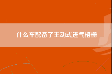 什么车配备了主动式进气格栅