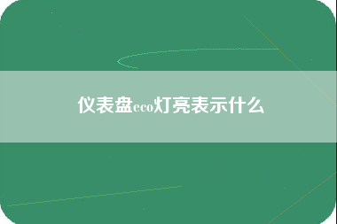 仪表盘eco灯亮表示什么