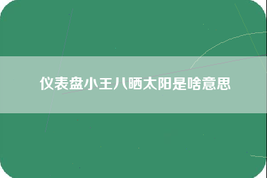 仪表盘小王八晒太阳是啥意思