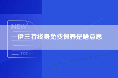 伊兰特终身免费保养是啥意思