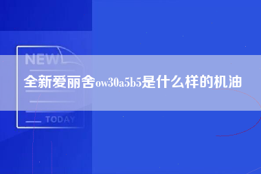 全新爱丽舍ow30a5b5是什么样的机油