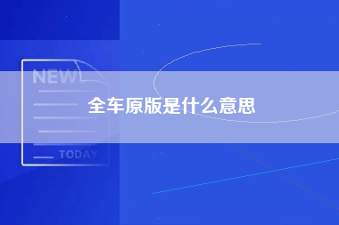 全车原版是什么意思