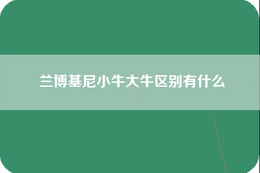 兰博基尼小牛大牛区别有什么