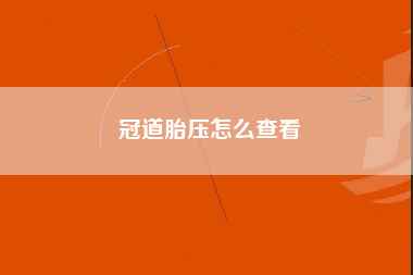 冠道胎压怎么查看