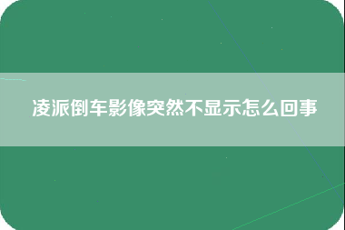 凌派倒车影像突然不显示怎么回事