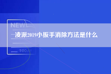 凌派2019小扳手消除方法是什么