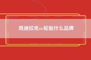 凯迪拉克xts轮胎什么品牌