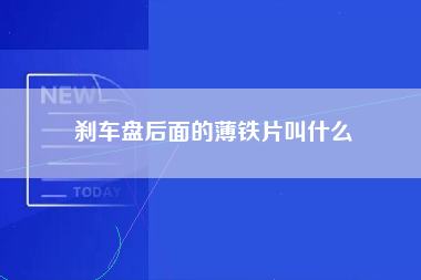 刹车盘后面的薄铁片叫什么