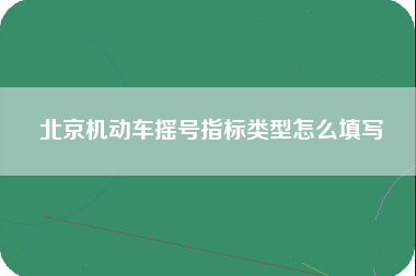 北京机动车摇号指标类型怎么填写