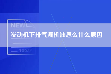 发动机下排气漏机油怎么什么原因