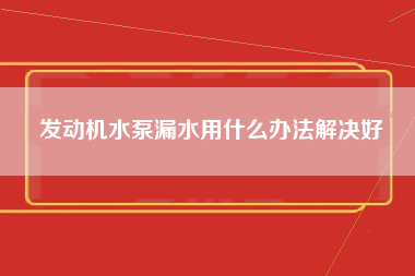 发动机水泵漏水用什么办法解决好