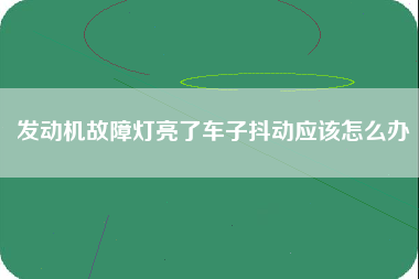 发动机故障灯亮了车子抖动应该怎么办