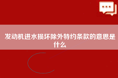 发动机进水损坏除外特约条款的意思是什么