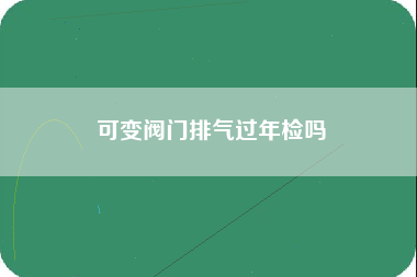 可变阀门排气过年检吗