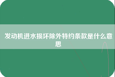 发动机进水损坏除外特约条款是什么意思