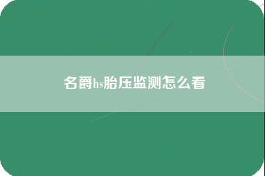 名爵hs胎压监测怎么看