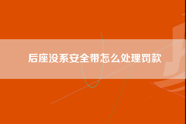 后座没系安全带怎么处理罚款