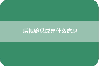 后视镜总成是什么意思