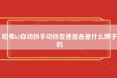 哈弗h2自动挡手动挡变速器各是什么牌子的