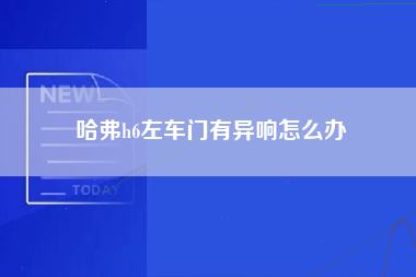 哈弗h6左车门有异响怎么办