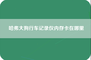 哈弗大狗行车记录仪内存卡在哪里