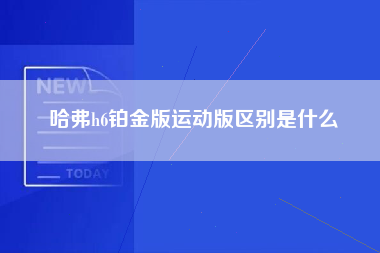 哈弗h6铂金版运动版区别是什么