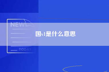 国v1是什么意思