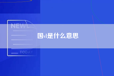 国vl是什么意思