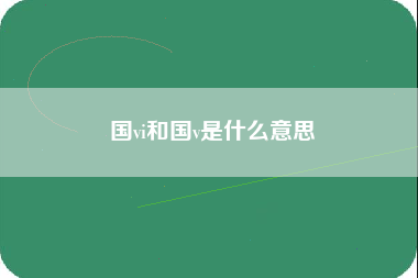 国vi和国v是什么意思