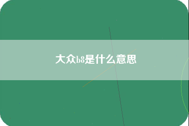 大众b8是什么意思