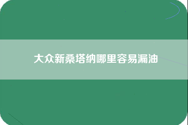 大众新桑塔纳哪里容易漏油