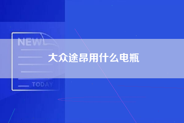 大众途昂用什么电瓶