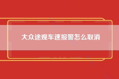 大众途观车速报警怎么取消