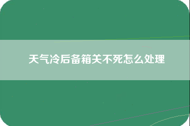 天气冷后备箱关不死怎么处理