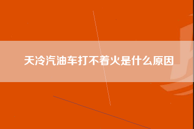 天冷汽油车打不着火是什么原因