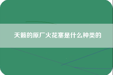 天籁的原厂火花塞是什么种类的